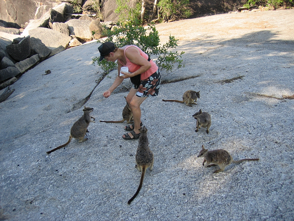 CairnsTC133 Granite Gorge.jpg